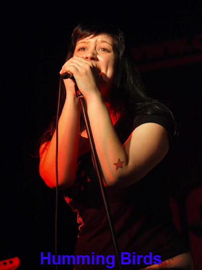 Humming Birds 01 06 2008 00490 US