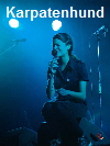 Karpatenhund 