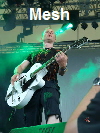 Mesh