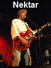 Nektar