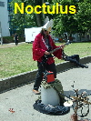 Noctulus