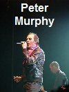 Peter Murphy