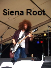 Siena Root