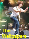 The Wellpapers