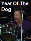 Year Of The Dog 