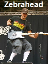Zebrahead